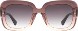 Hawkers Bronze Butterfly 4046