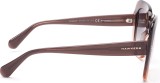 Hawkers Bronze Butterfly 4047