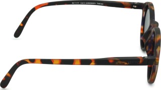 Izipizi Sun Junior #D Tortoise (pre vek 7 - 11 rokov)