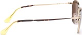 Persol PO2445S 107557 52 1518