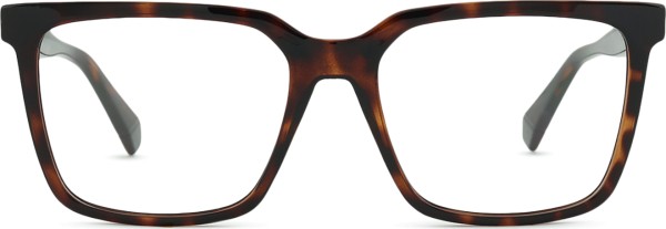 Polaroid PLD D556/C 086 17 55 (slnečný klip)