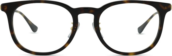 Ray-Ban 0RX5453D 2012 52