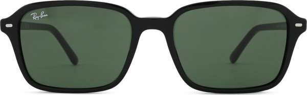 Ray-Ban Raimond RB2231 901/31