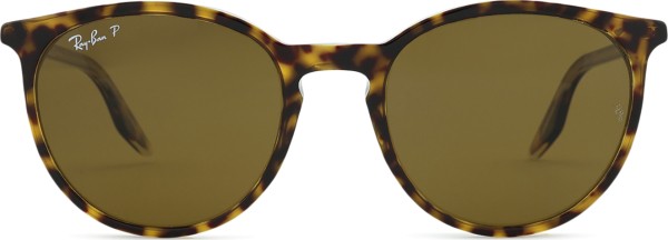 Ray-Ban RB2204 139357 54