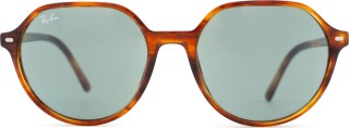 Ray-Ban Thalia RB2195 954/62 53 21441