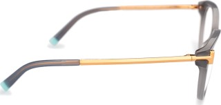 Tiffany&Co. 0TF2193 8257 53 11209